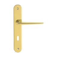 Brixia Mortise Handle on Plate - Polish